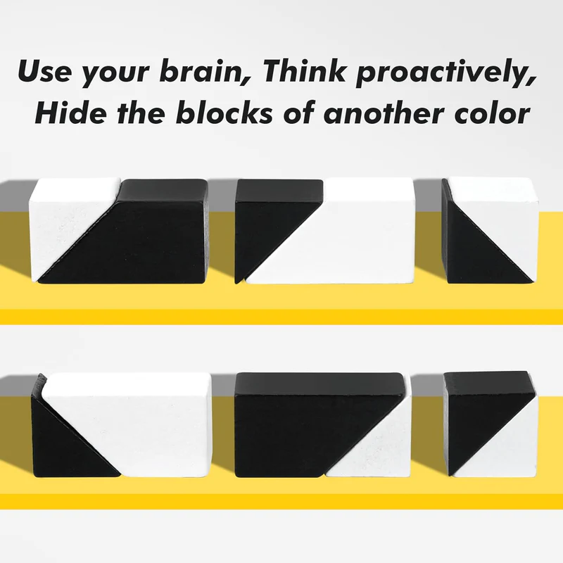 Pocket-Size Dual-Color Logic Puzzle